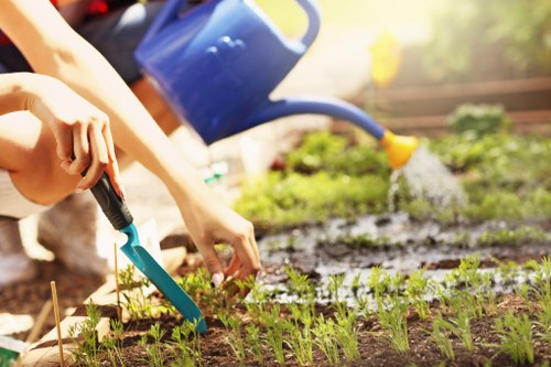 Illustration of a gardening complaints procedure being introduced