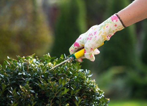 Gardeners Arkley modern slavery statement introduction