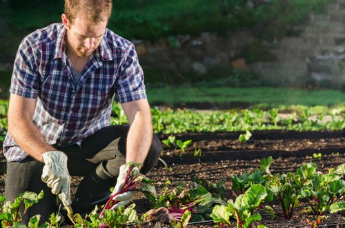 Arkley gardeners maintaining healthy and structured gardens