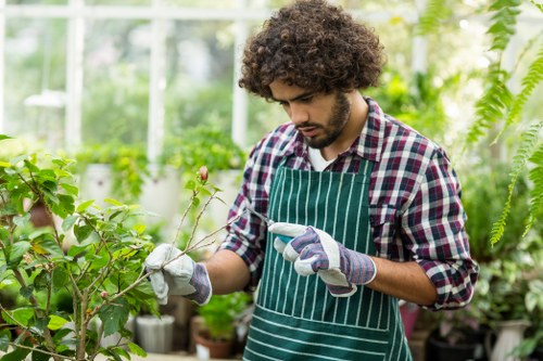 Gardening services in Arkley for a well-kept residential garden