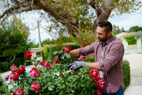Transparent Gardeners Arkley quotes for one-off and larger clearance jobs