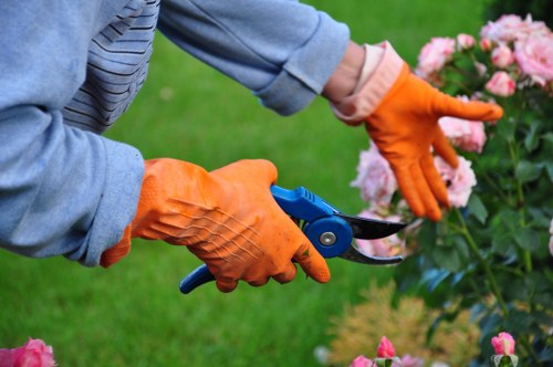 Seasonal lawn treatment in Arkley improving grass health