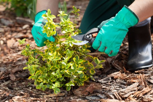 Governing law and final terms for UK gardening services