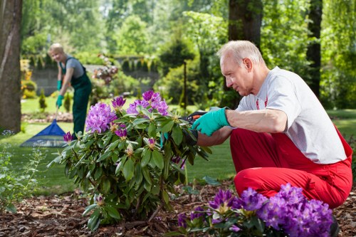 Risk assessment and safe garden service practices in Arkley