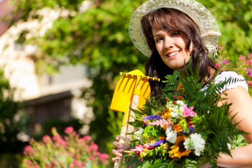 Tree reduction and removal service in Arkley area