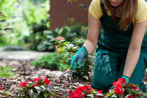 Low-carbon van used for sustainable local garden collections