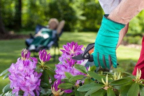 Illustration highlighting accessibility support for local Arkley gardening pages