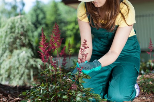 Visual of the middle stage of a garden service complaint process