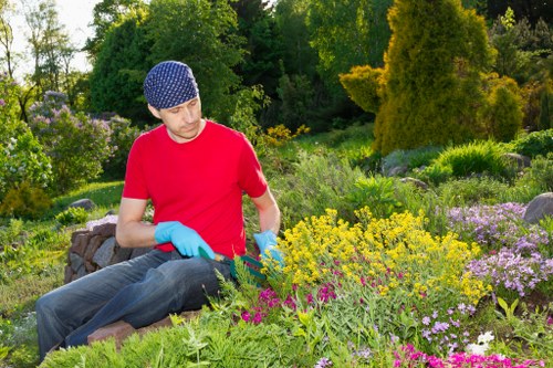 Commercial gardening services in Arkley maintaining neat grounds