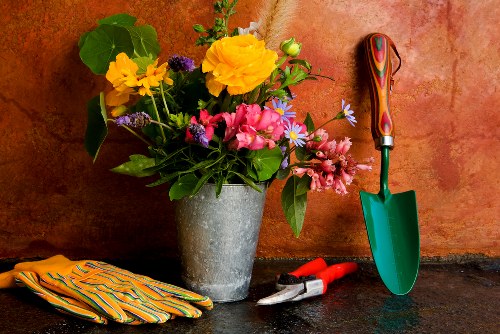 Seasonal garden maintenance in Arkley with planting and lawn care