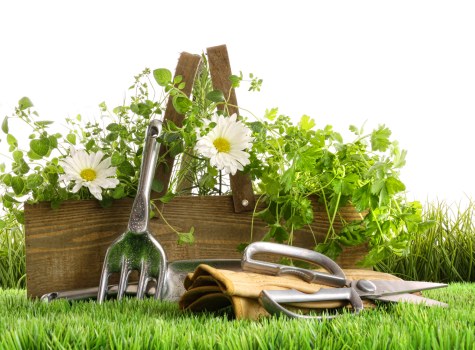 Professional gardening services in Arkley for a private home garden