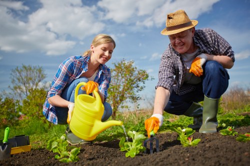 Garden maintenance work in Arkley including hedge trimming and border care