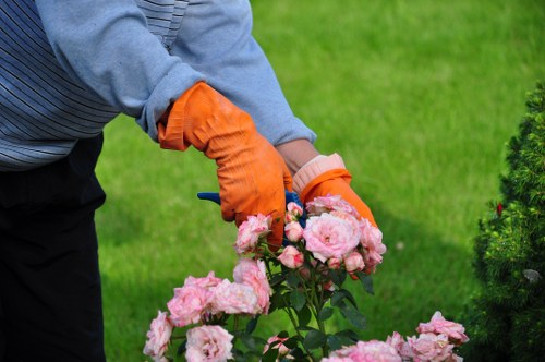 Stump grinding and tree care service in Arkley