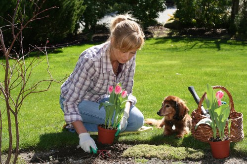 Seasonal grass cutting service for an Arkley property