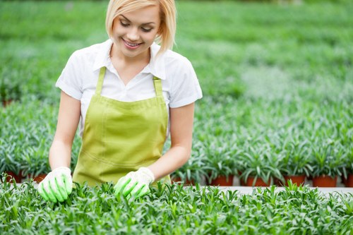 Image representing a respectful resolution step in gardening complaints