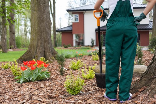 Reliable Arkley garden care for lawns, borders, and planting
