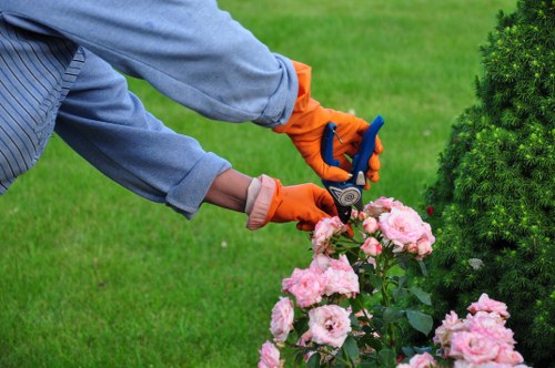 Professional arborist inspecting a tree in Arkley