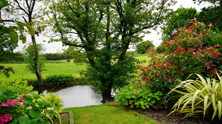 A lush garden scene featuring a variety of plants, shrubs, and trees. In the foreground, there are vibrant pink and red flowering bushes alongside ornamental grasses with cream and green striped leave